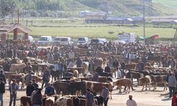 Hatay’da 2026 Kurbanlık Fiyatları Açıklandı