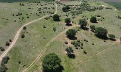 Edirne'de meraların belli bölümlerinde sulamalı sisteme geçilecek