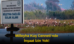 Milleyha Kuş Cenneti’ne İnşaat Yapılmasına İzin Yok!