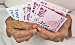 Hatay'da Engelli ve Yaşlı Aylığı Alanlar Dikkat: Ödemeler Değişiyor!