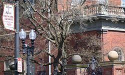 Harvard Rektörü Garber, vergi muafiyetinin kaldırılmasının "yasa dışı" olacağını belirtti