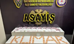 İskenderun'da Kumar Baskını: 3 Kişiye 27 Bin Lira Ceza