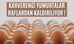 Kahverengi Yumurtalar Raflardan Kaldırılıyor !