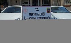 Mersin'de 70 ruhsatsız tabanca ele geçirildi