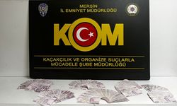Mersin'de tefecilik operasyonunda 2 zanlı tutuklandı