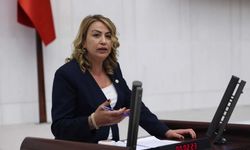 Hataylı Emekli Açlıkla Sınanıyor!