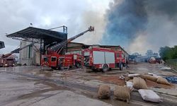 Sakarya'da fındık kırım fabrikasında çıkan yangına müdahale ediliyor