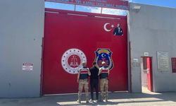 Hatay’da Jandarmadan Nisan Operasyonu: 263 Gözaltı