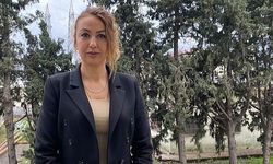 Ekolojik Felaket Uyarısı: "Doğa Talanı Meşrulaşacak"