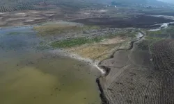 Hatay'da Kuraklık Derinleşiyor! Acil Önlem Şart