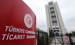 Ticaret Bakanlığı 2 şirketi daha "dış ticaret sermaye şirketi" statüsüne aldı
