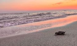 Akdeniz'in incisi Patara eylem planı ile korunacak