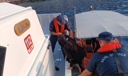Antalya'da 21 düzensiz göçmen yakalandı