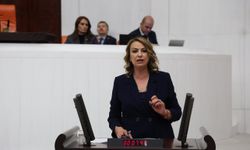 Mali Müşavirlerden 7 Acil Talep
