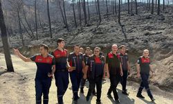 HATAY’DA YANAN ORMANLAR YENİDEN YEŞERECEK