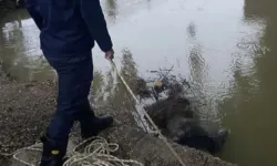 Hatay'da Sulama Kanalı Kenarında Ceset Bulunmuştu! Katil Yakalandı