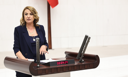 "Yangınlara Uçak Yok, Geçilmeyen Köprülere Dolar Çok"