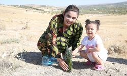 Şanlıurfalı gönüllü, 63 bin fidanı toprakla buluşturmaya hazırlanıyor