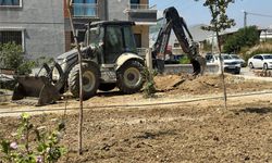 Antakya’nın Parklarında Yoğun Yaz Mesaisi Sürüyor!