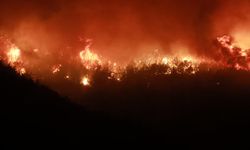 Hassa'da ormanlık alanda yangın çıktı