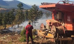 Adana Saimbeyli'de çıkan orman yangını kontrol altına alındı