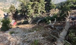 Adana'da uçuruma yuvarlanan otomobildeki 2 kişi hayatını kaybetti