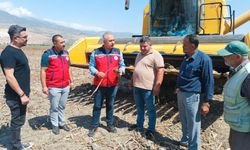 Kırıkhan’da Ayçiçeği Hasadı Başladı!