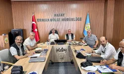 Hatay'ın Orman Arazileri Masaya Yatırıldı!