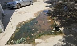 Armutlu’da Hastalık Saçan Kanalizasyon Patlağı Çözüm Bekliyor!