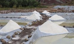 Sivas'ın 'esmer tuzu' Japonya'da yemeklere lezzet katıyor