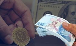 Bu Parasını Buna Yatıranın Yüzü Güldü !