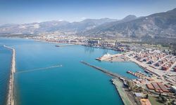İskenderun Körfezi’nde Oksijen Kritik Seviyede !