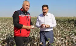 Beyaz Altında İlk Hasat Vali Masatlı'dan