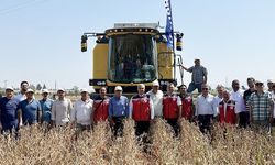 Hatay'da Tarla Günü Hasatla Kutlandı!
