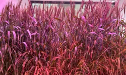 Tarımda Yeni Dönem Başlıyor!