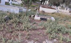 Kırıkhan Abalaklı Köyü Mezarlığında Bakımsızlık Tepki Çekiyor