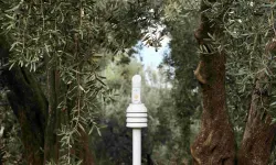 1000 Bereket Programı 7. Yılında