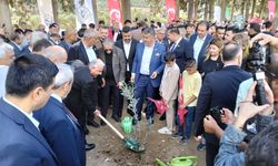 Altınözü Festivalinde Hasat Başladı, Yeni Fidanlar Toprakla Buluştu!