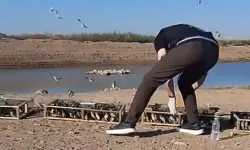 Hatay’da Yurtdışına Kaçırılmak İstenen Saka Kuşları Doğaya Salındı!