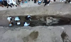Mersin'de Tarihi Keşif! Sadece Kafatası 2 Metre