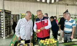 Narenciye Hasadı Başladı, Denetimler Yoğunlaştı