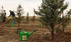 11 Kasım’da Hatay’da Binlerce Fidan Toprakla Buluşacak