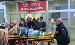 Adana'da bahçesindeki taşlık alanın tepesinden düşen kişi yaralandı