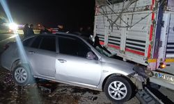 Adana'da kamyona çarpan otomobildeki iki kişi yaralandı