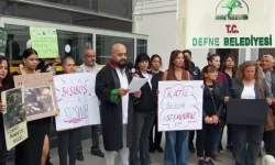 Defne Belediyesi Hayvan Hakları İhlaliyle Suçlanıyor