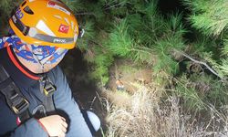 Alanya'da yürüyüş sırasında uçuruma düşen 2 turist kurtarıldı