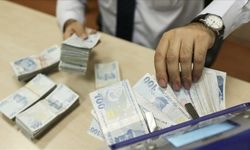 Bankalardaki mevduatlar 50 aydır aralıksız yükseliyor