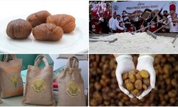 Bursa kestane şekeri ve İpsala pirinci AB'den coğrafi işaret tescili aldı