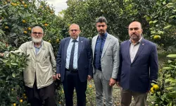 Hataylı Üretici Destek Bekliyor, Ürün Tarlada Kalıyor!