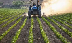 Çiftçiye 1.5 Milyar TL Destek!